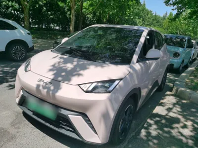 BYD Seagull · 2024 год