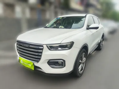 Haval H6 · 2019 год