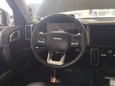 Haval Big Dog 2023, 58300 км, за 12339.7 USD - фото 11