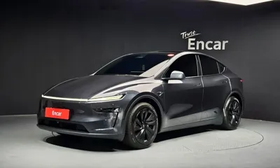 Tesla Model Y · 2025 год