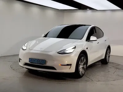 Tesla Model Y 2021, 149775 км, за 19437.03 USD