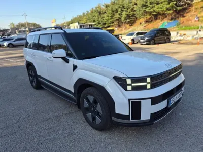 Hyundai Santafe · 2024 год