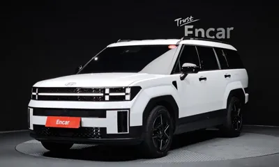 Hyundai Santafe · 2024 год