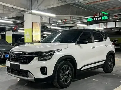 Kia Seltos · 2023 год