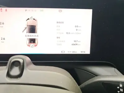 Xpeng P7 2021, 65700 км, за 13457.25 USD