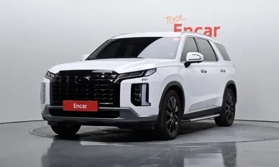 Hyundai Palisade · 2024 год