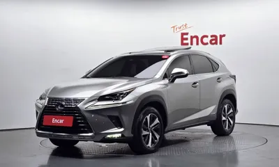 Lexus NX · 2019 год