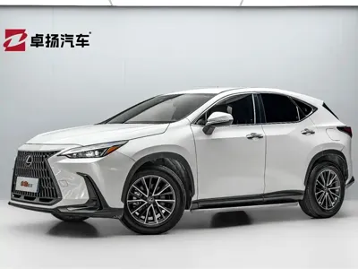 Lexus NX · 2023 год
