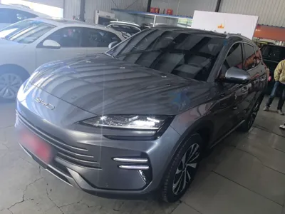 BYD Song PLUS New Energy · 2023 год