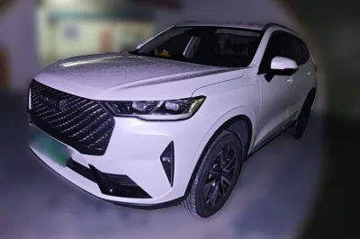 Haval H6 · 2021 год