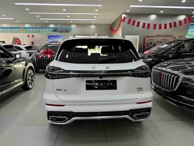 Hongqi Hongqi HS5 2023, 12000 км, за 14431.28 USD - фото 9