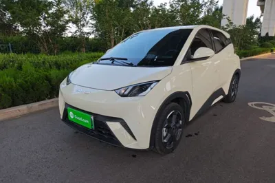BYD Seagull · 2023 год