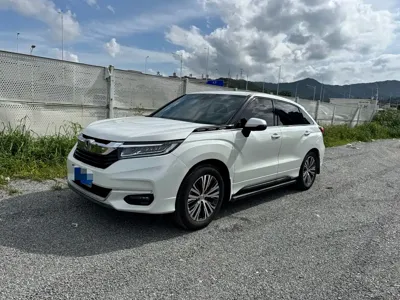 Honda Avancier · 2020 год