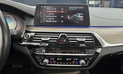 BMW 5-Series 2018, 87088 км, за 14113.17 USD - фото 14