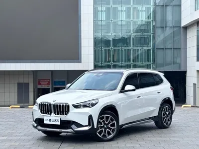 BMW X1 · 2024 год