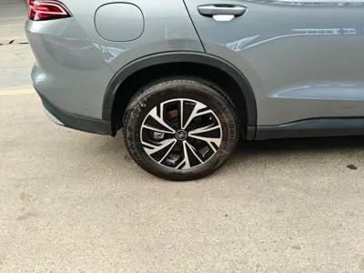 BYD Song Pro New Energy 2025, 7600 км, за 13984 USD - фото 10