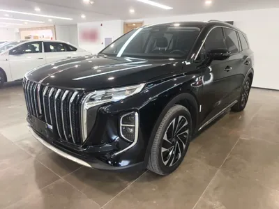 Hongqi HS7 PHEV · 2024 год
