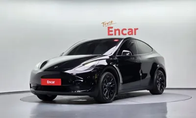 Tesla Model Y · 2024 год