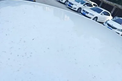 Toyota Corolla 2017, 70100 км, за 8896 USD - фото 7