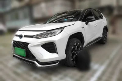 Toyota Wildlander New Energy · 2021 год