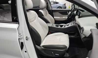 Hyundai Santafe 2021, 27115 км, за 22990.01 USD - фото 10