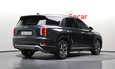 Hyundai Palisade 2020, 178391 км, за 12734.67 USD