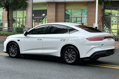 BYD Qin L 2025, 13800 км, за 13280 USD - фото 6
