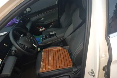 BYD Qin L 2025, 13800 км, за 13280 USD - фото 14