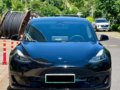 Tesla Model 3 2021, 98000 км, за 14999.47 USD