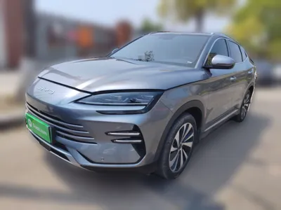 BYD Song PLUS New Energy · 2024 год