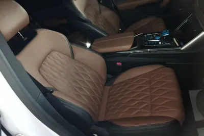 BYD Tang New Energy