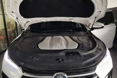BYD Tang New Energy