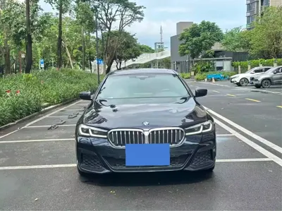BMW 5 Series New Energy · 2020 год