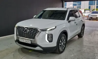 Hyundai Palisade · 2019 год