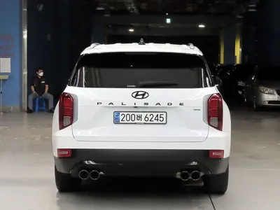 Hyundai Palisade 2019, 132026 км, за 14496.52 USD