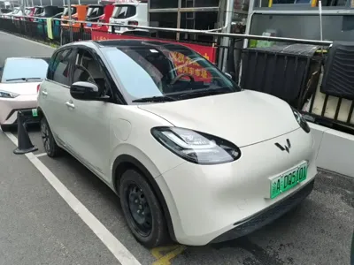 Wuling Bingo 2025, 29800 км, за 7676.55 USD