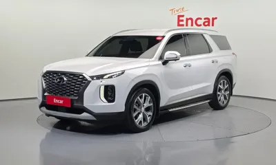 Hyundai Palisade · 2019 год