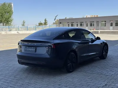 Tesla Model 3 2024, 57000 км, за 25749.94 USD
