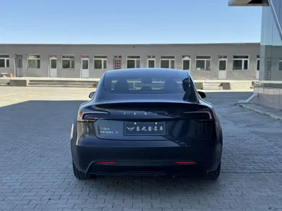 Tesla Model 3 2024, 57000 км, за 25749.94 USD - фото 7