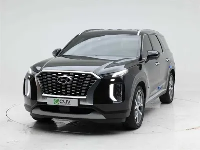 Hyundai Palisade · 2020 год