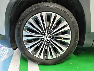 Nio EC6 2021, 39000 км, за 19099.1 USD