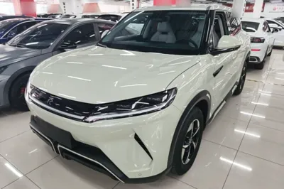 BYD Yuan Up · 2024 год