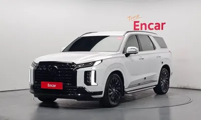 Hyundai Palisade · 2024 год