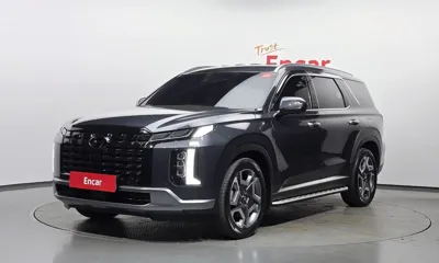 Hyundai Palisade · 2024 год