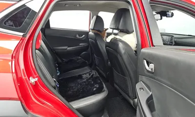 Hyundai Kona 2018, 67244 км, за 7601.8 USD - фото 26