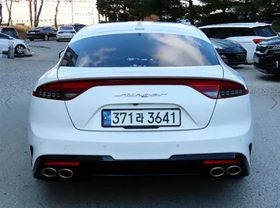 Kia Stinger 2021, 136434 км, за 14716.62 USD