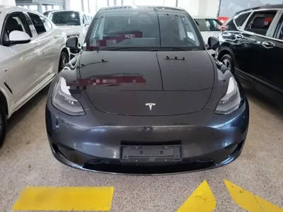 Tesla Model Y 2024, 44200 км, за 29484 USD