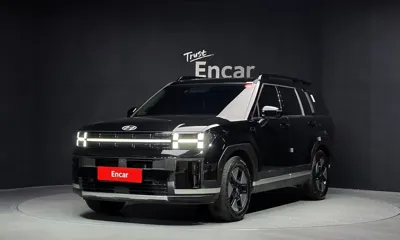 Hyundai Santafe · 2025 год