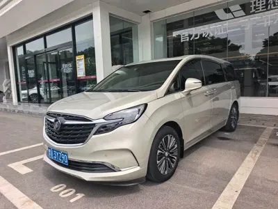 Buick GL8 · 2020 год