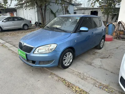 Skoda Fabia · 2014 год
